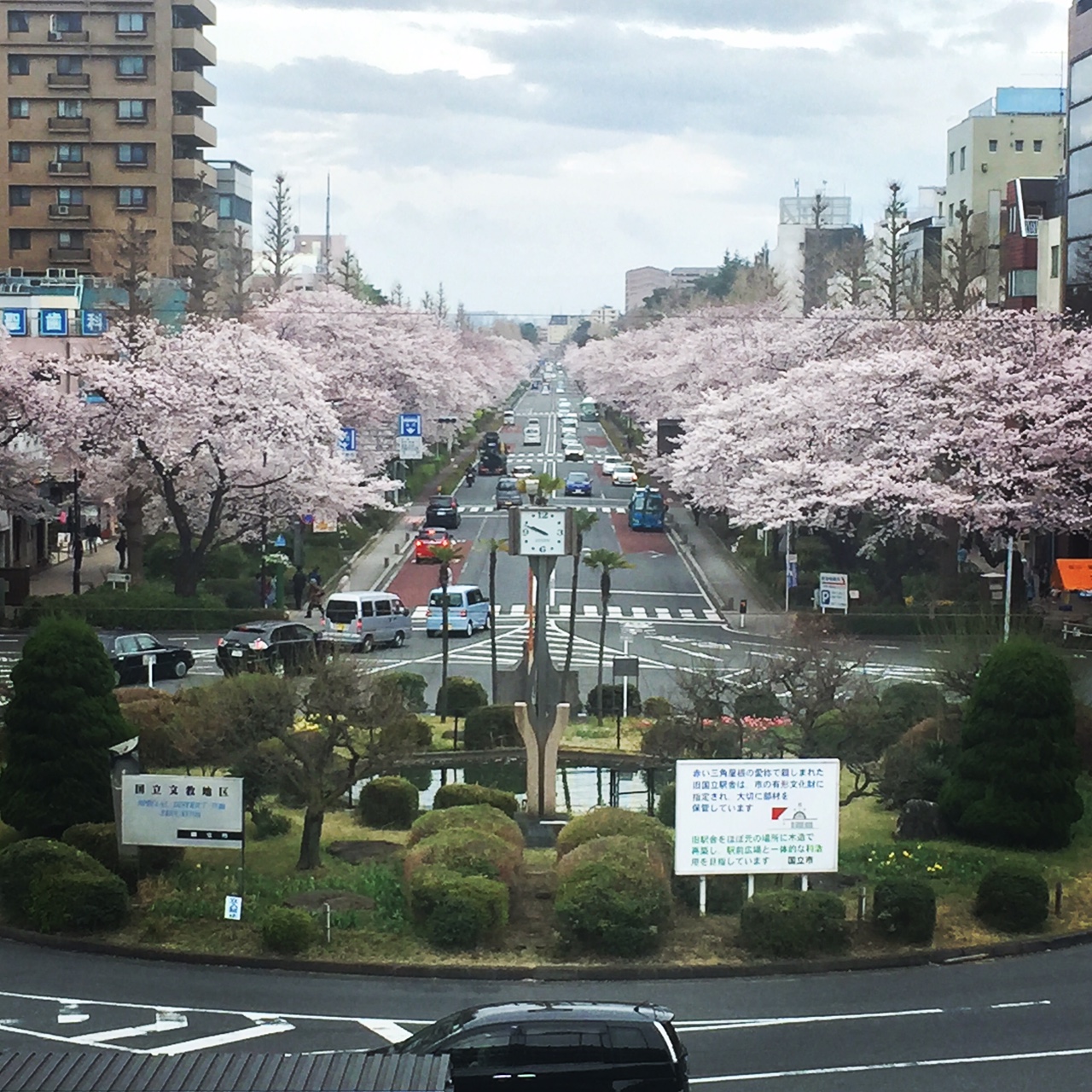 駅からの桜